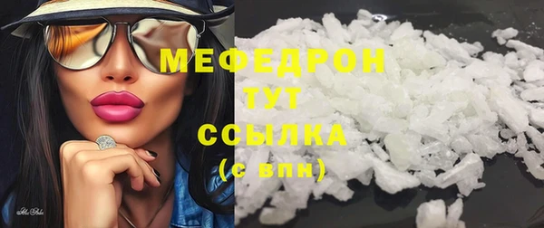 мдпв Богородицк