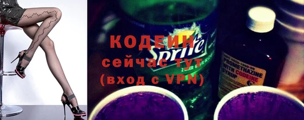 мдпв Бородино