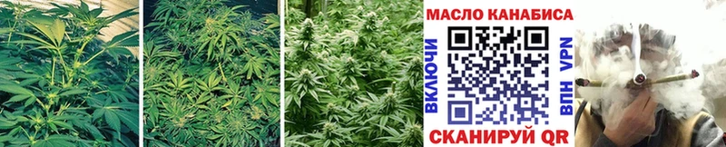 где купить наркотик  Валдай  ТГК THC oil 